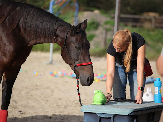 Veranstaltungen &amp; Feste – Bild 8