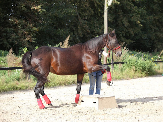 Veranstaltungen &amp; Feste – Bild 9