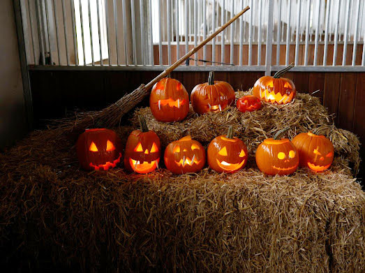 Veranstaltungen &amp; Feste – Bild 10