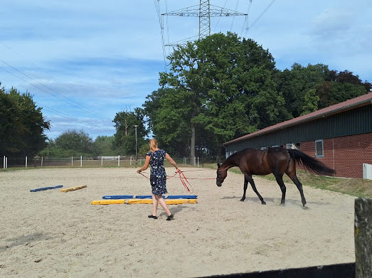 Veranstaltungen &amp; Feste – Bild 17