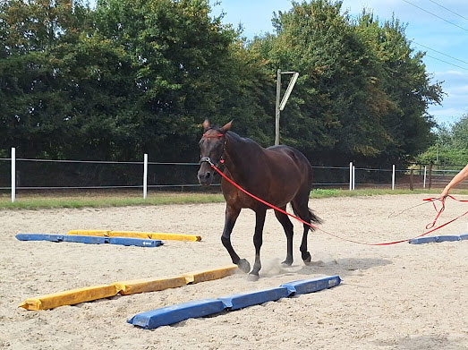 Veranstaltungen &amp; Feste – Bild 18