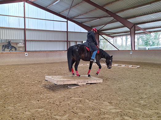 Veranstaltungen &amp; Feste – Bild 23