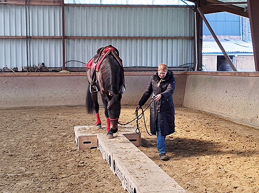 Veranstaltungen &amp; Feste – Bild 26