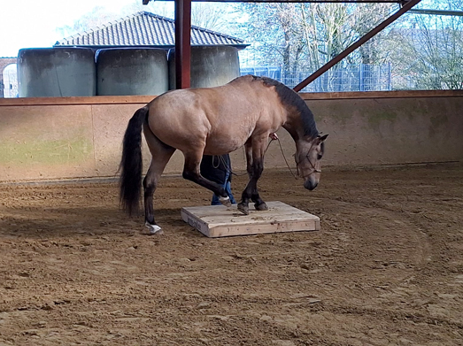 Veranstaltungen &amp; Feste – Bild 27