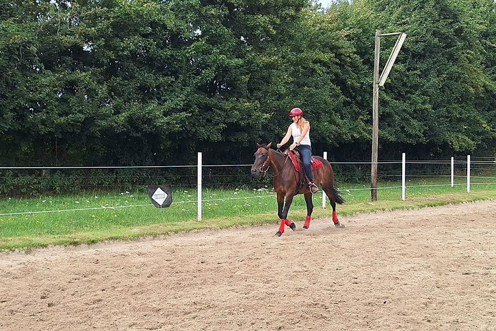 Veranstaltungen &amp; Feste – Bild 32