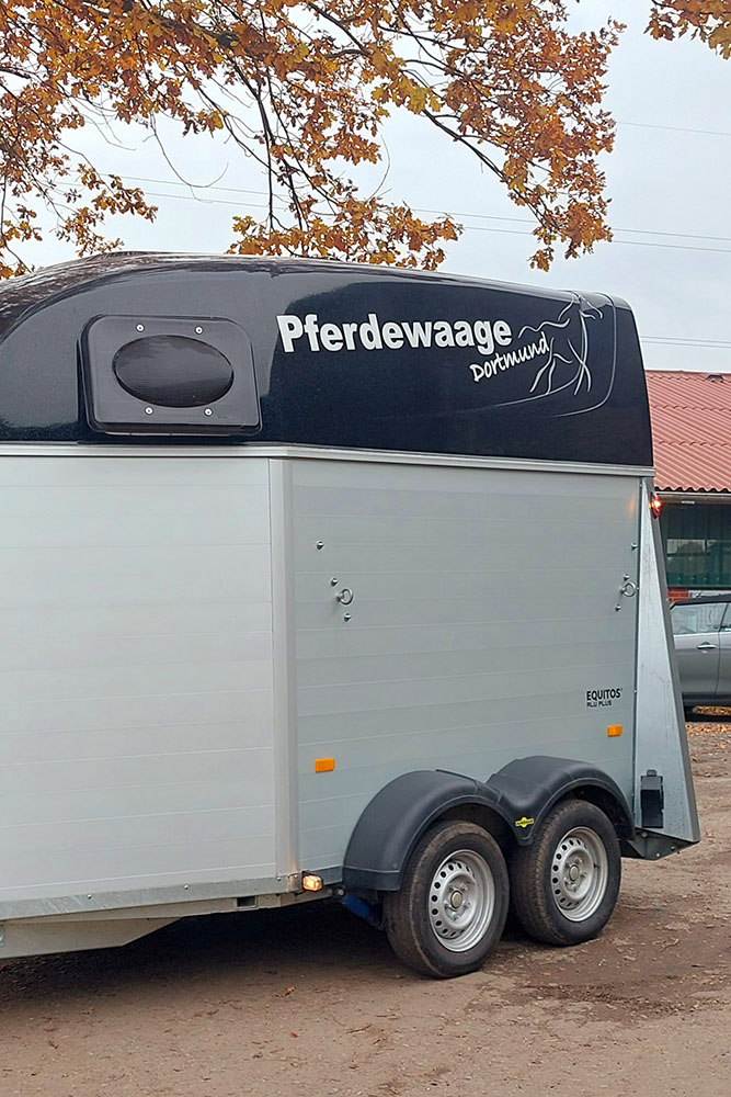 Veranstaltungen &amp; Feste – Bild 35