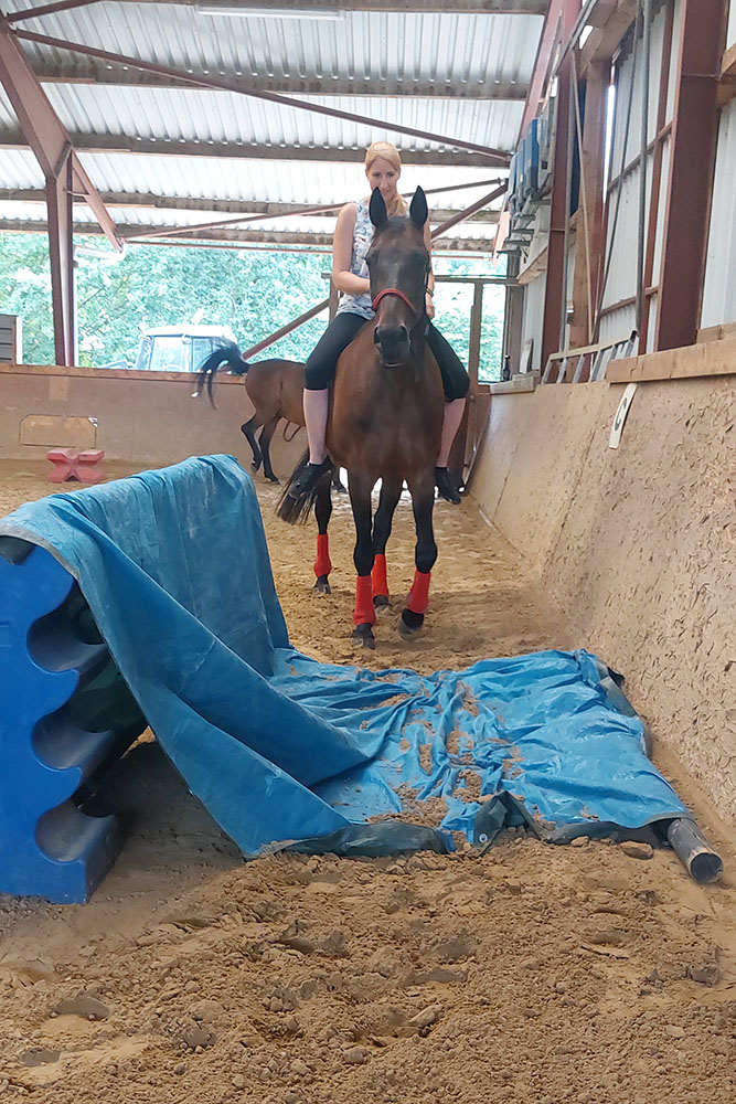 Veranstaltungen &amp; Feste – Bild 46
