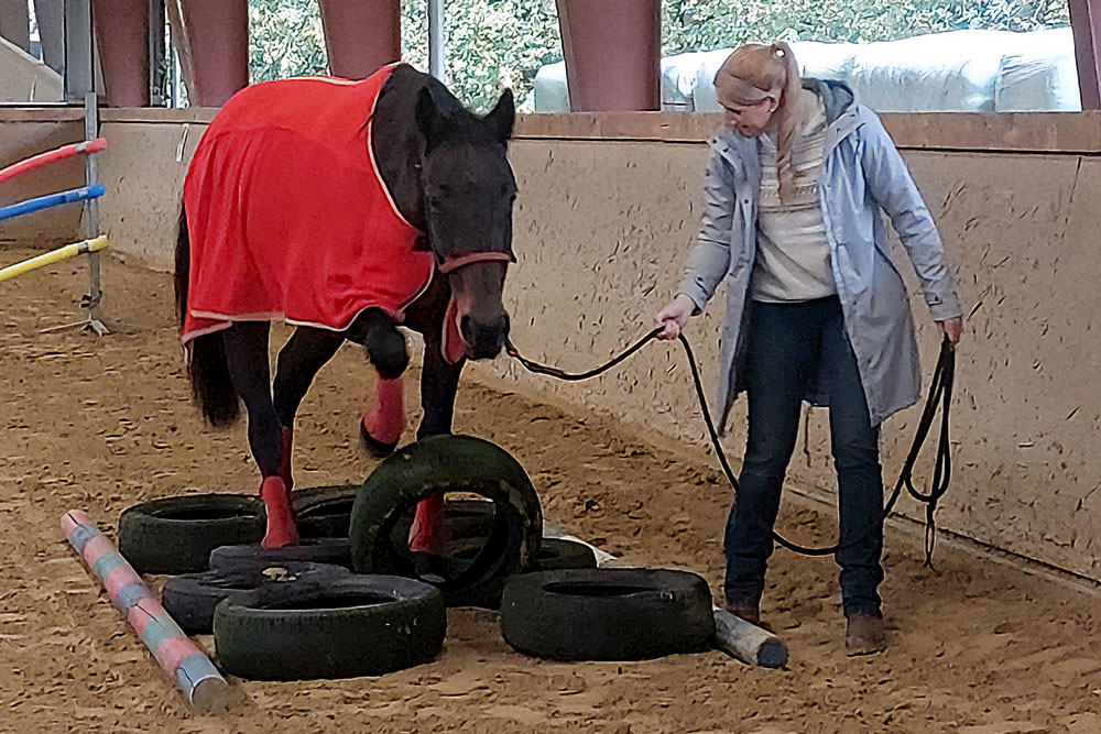 Veranstaltungen &amp; Feste – Bild 49
