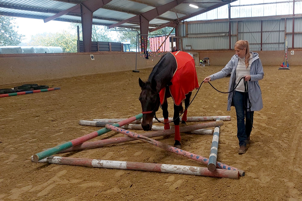 Veranstaltungen &amp; Feste – Bild 51