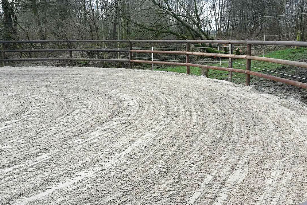 Longierzirkel – Bild 1