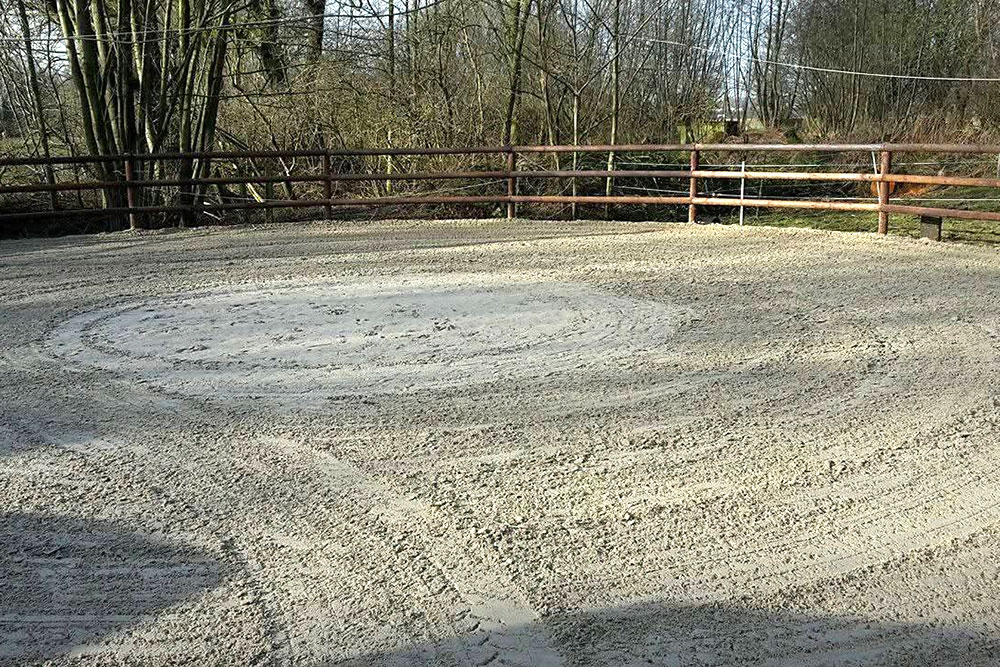 Longierzirkel – Bild 2