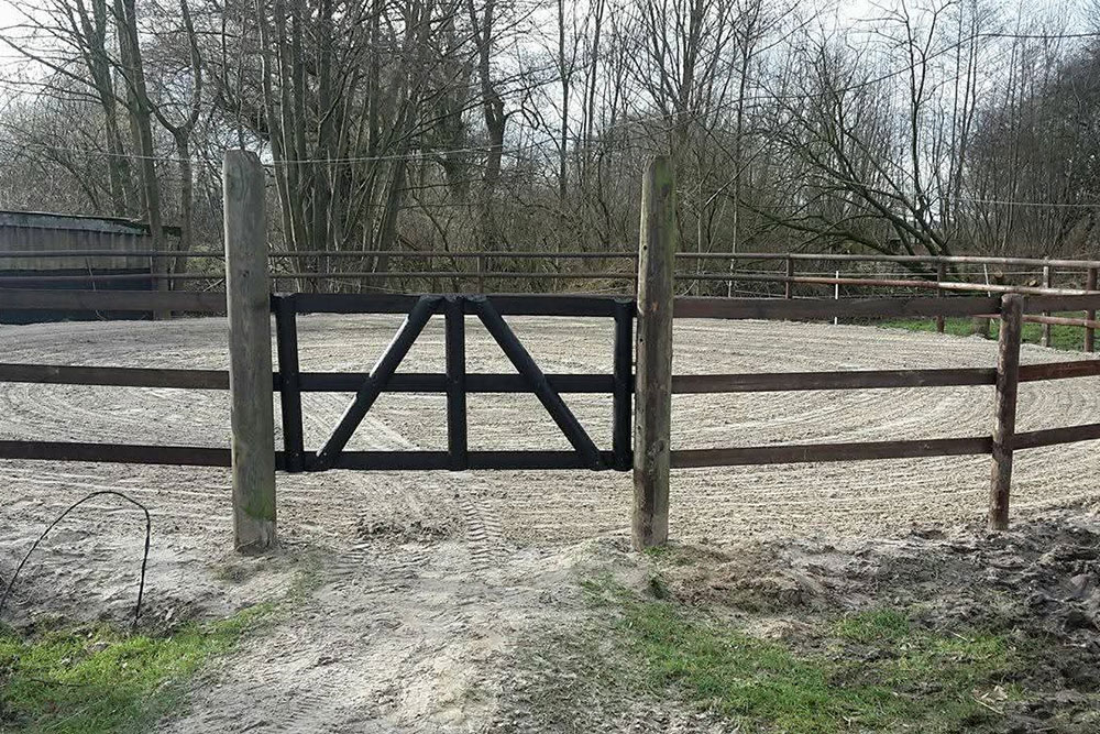 Longierzirkel – Bild 3