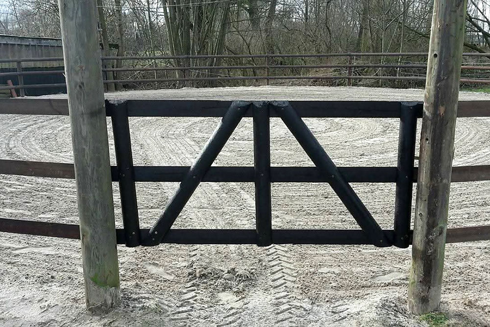 Longierzirkel – Bild 4