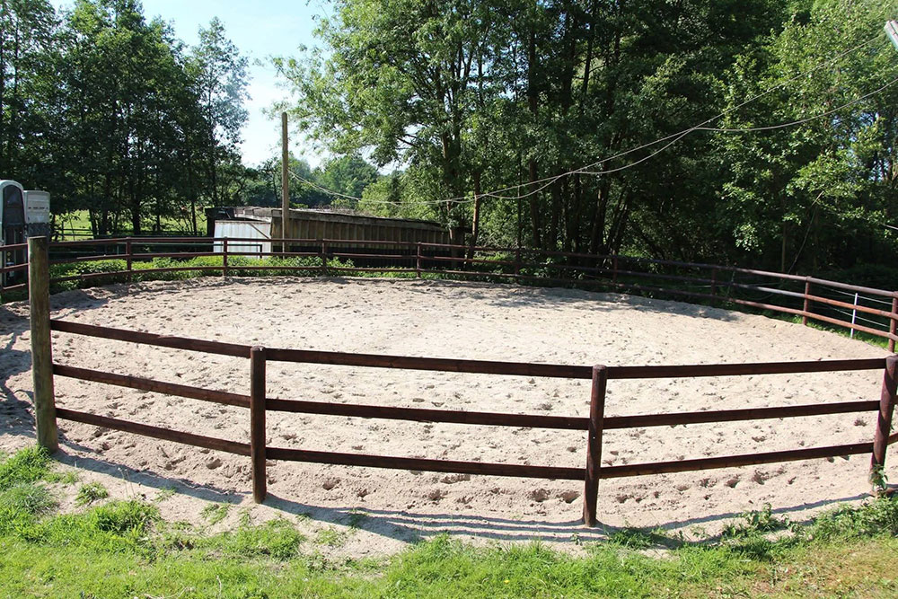 Longierzirkel – Bild 5