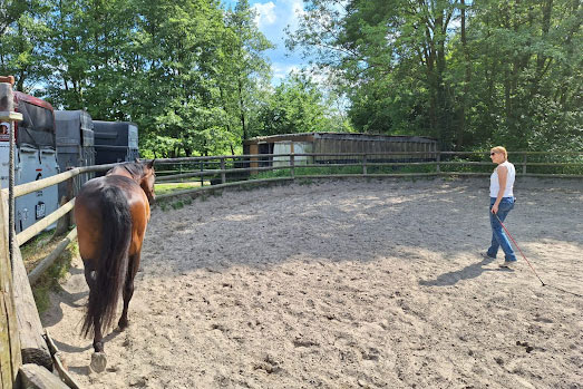 Longierzirkel – Bild 6