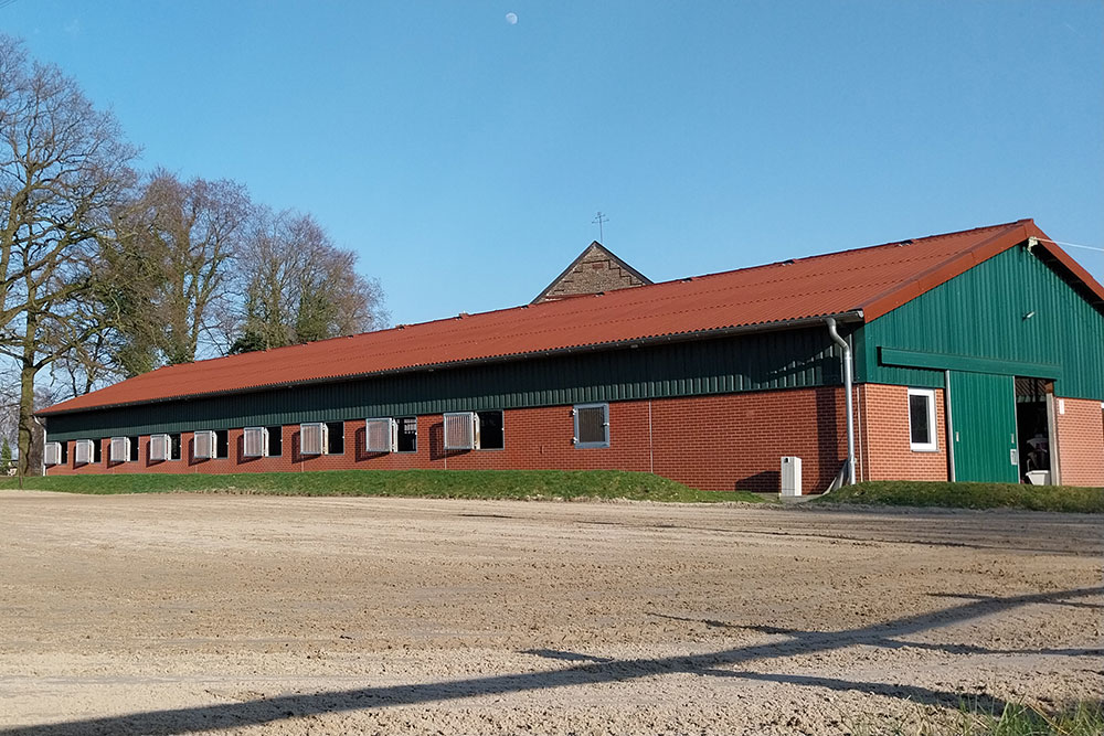 Pferdestall – Bild 9