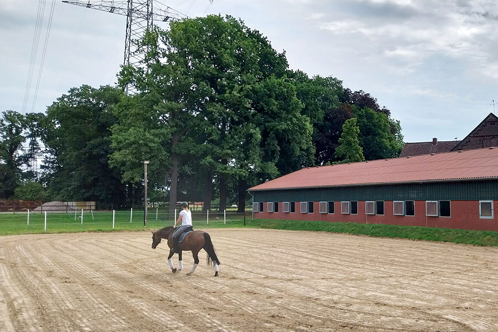 Reitplatz – Bild 2
