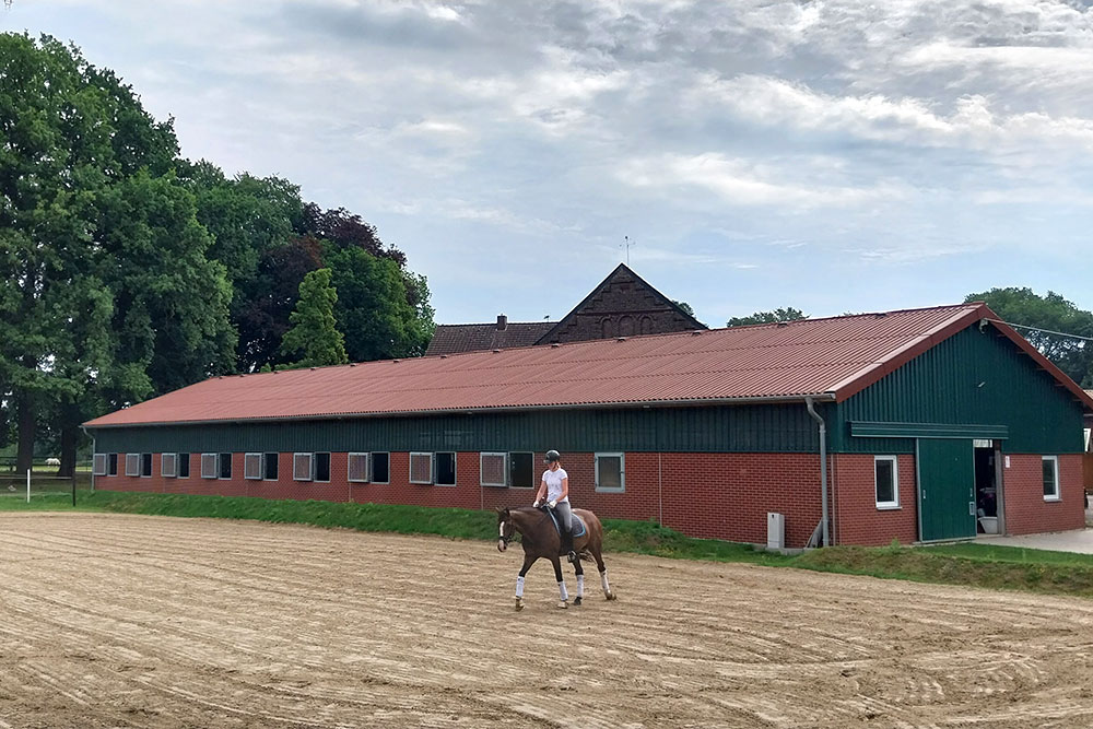 Reitplatz – Bild 3