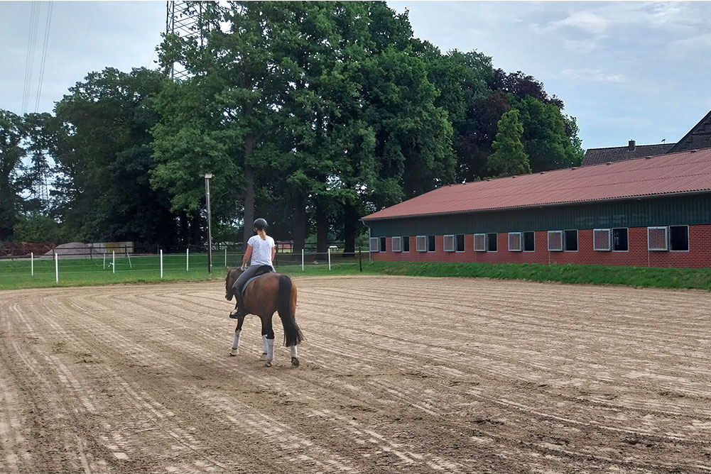 Reitplatz – Bild 4