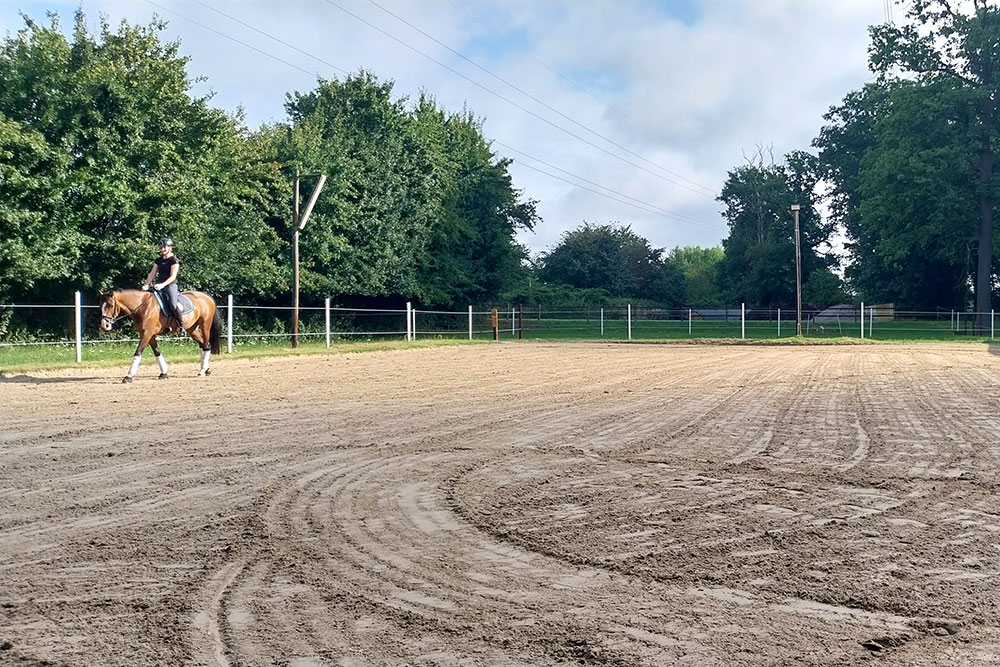 Reitplatz – Bild 5