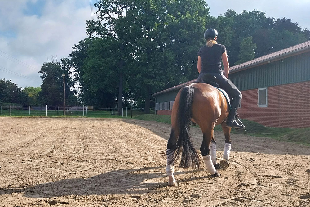 Reitplatz – Bild 6