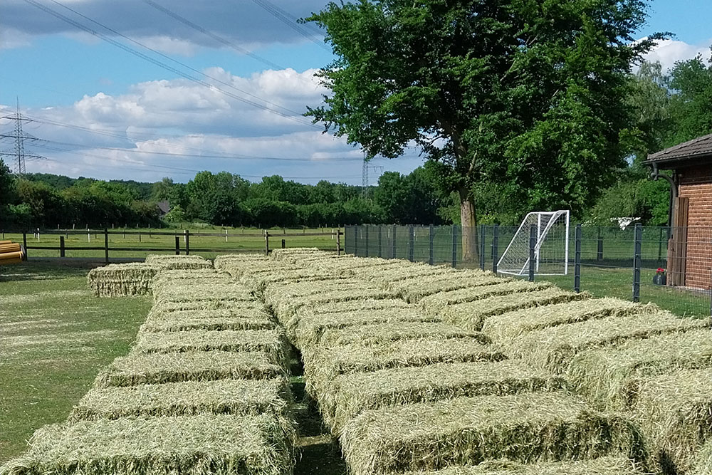 Stroh- &amp; Heuernte – Bild 2