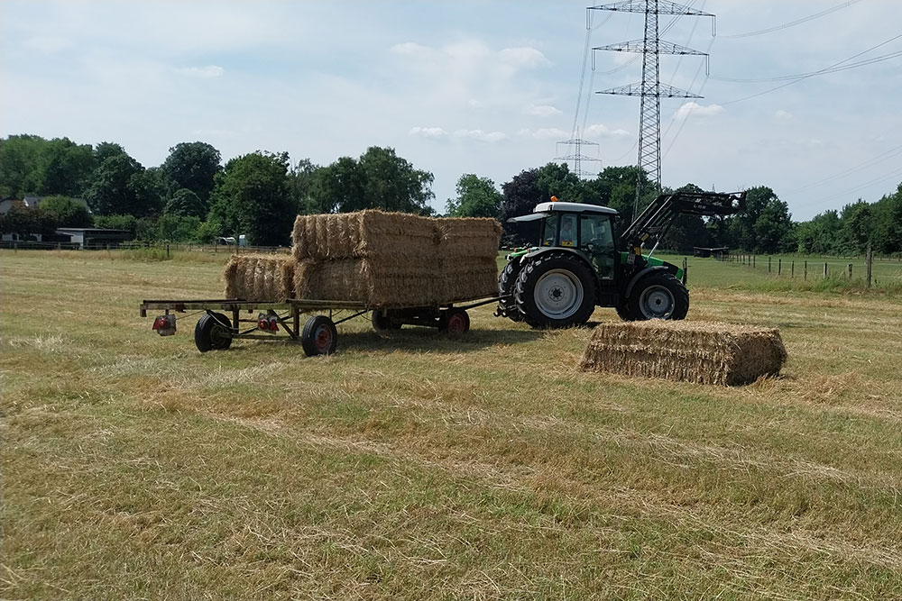 Stroh- &amp; Heuernte – Bild 6