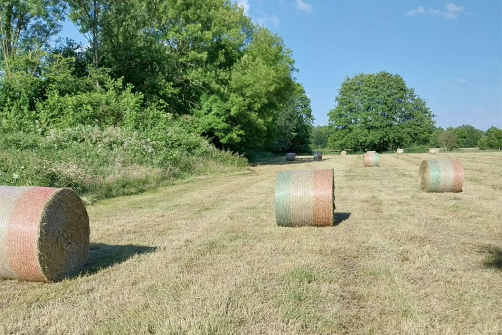 Stroh- &amp; Heuernte – Bild 12