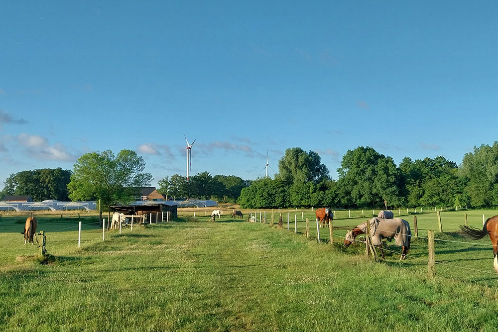 Weideflächen – Bild 10