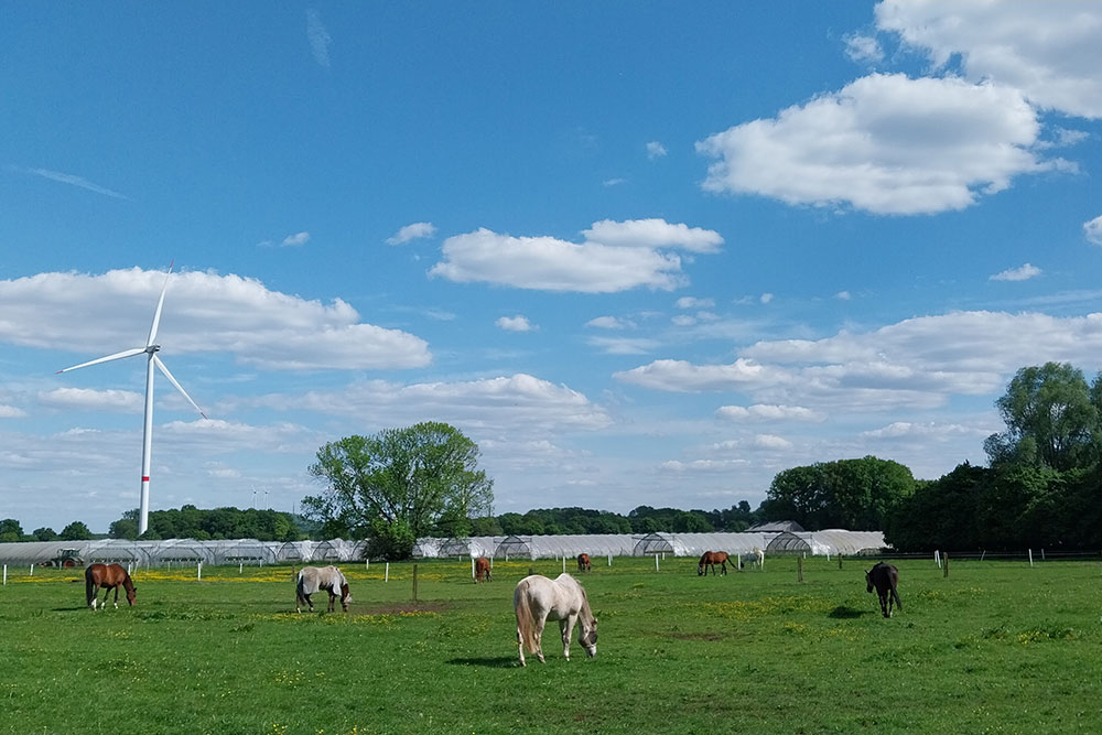 Weideflächen – Bild 18