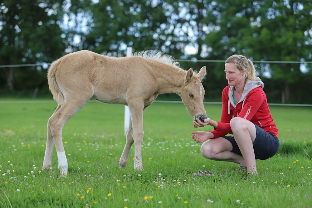Zucht &amp; Aufzucht – Bild 6