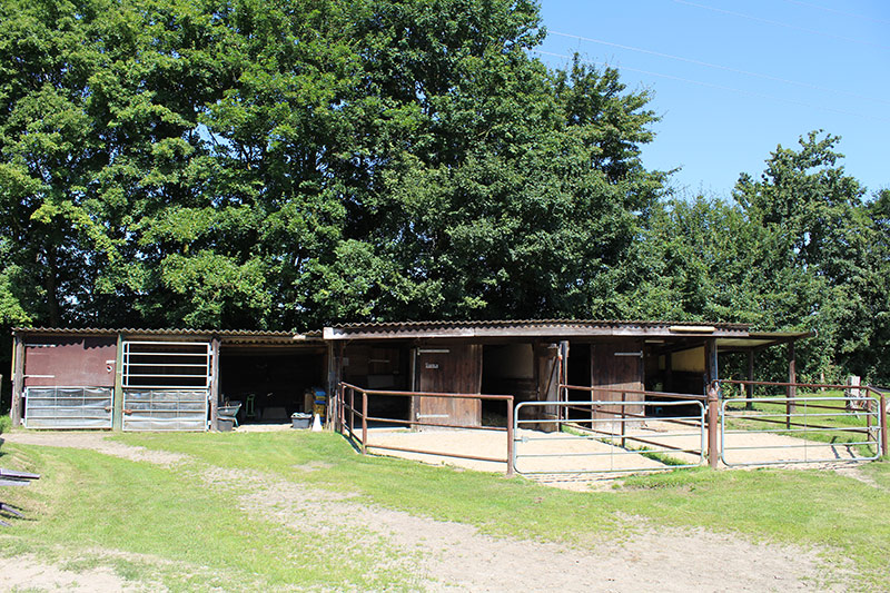 Unser Offenstall am Repeler Hof in Bottrop