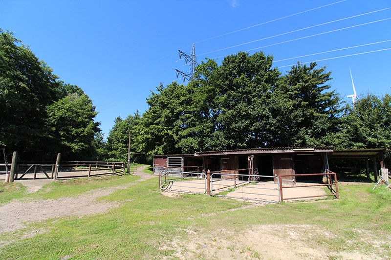 Unser Offenstall am Repeler Hof in Bottrop