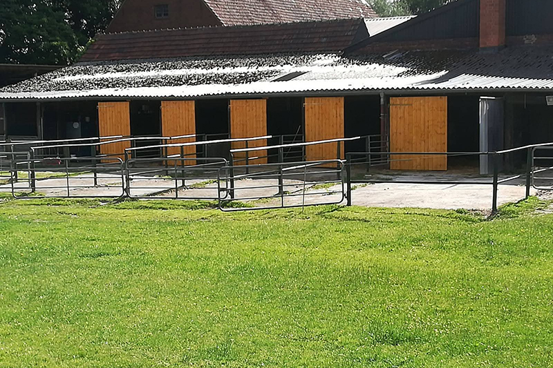 Unser Offenstall am Repeler Hof in Bottrop