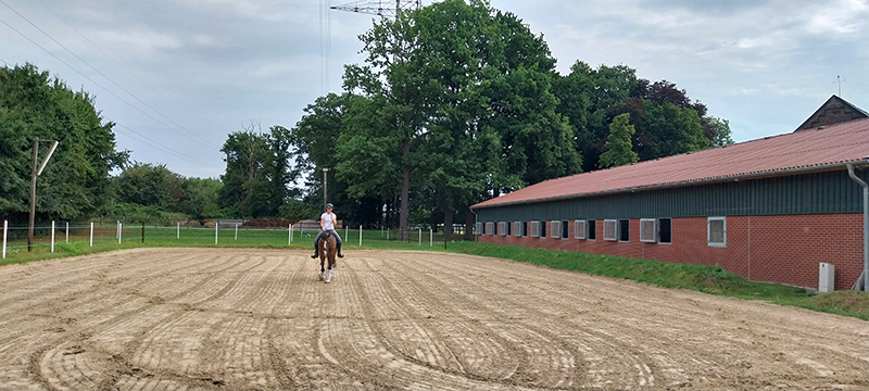 Unser Reitplatz am Repeler Hof in Bottrop