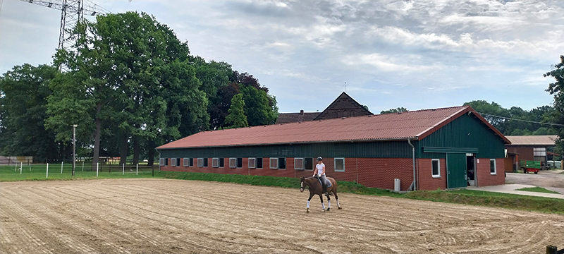 Unser Reitplatz am Repeler Hof in Bottrop
