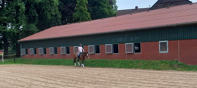 Unser Reitplatz am Repeler Hof in Bottrop