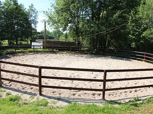 Der Roundpen am Repeler Hof in Bottrop