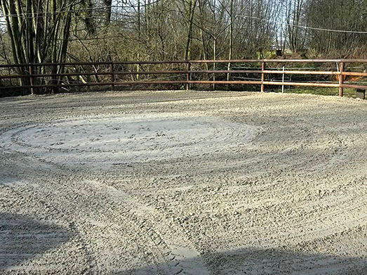 Der Roundpen am Repeler Hof in Bottrop