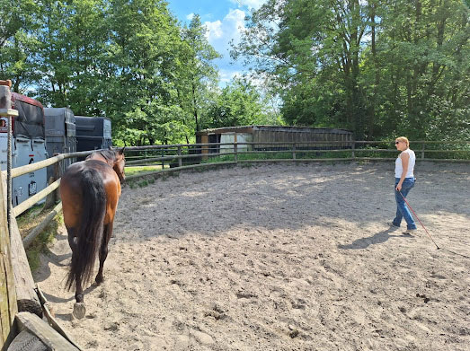 Der Roundpen am Repeler Hof in Bottrop